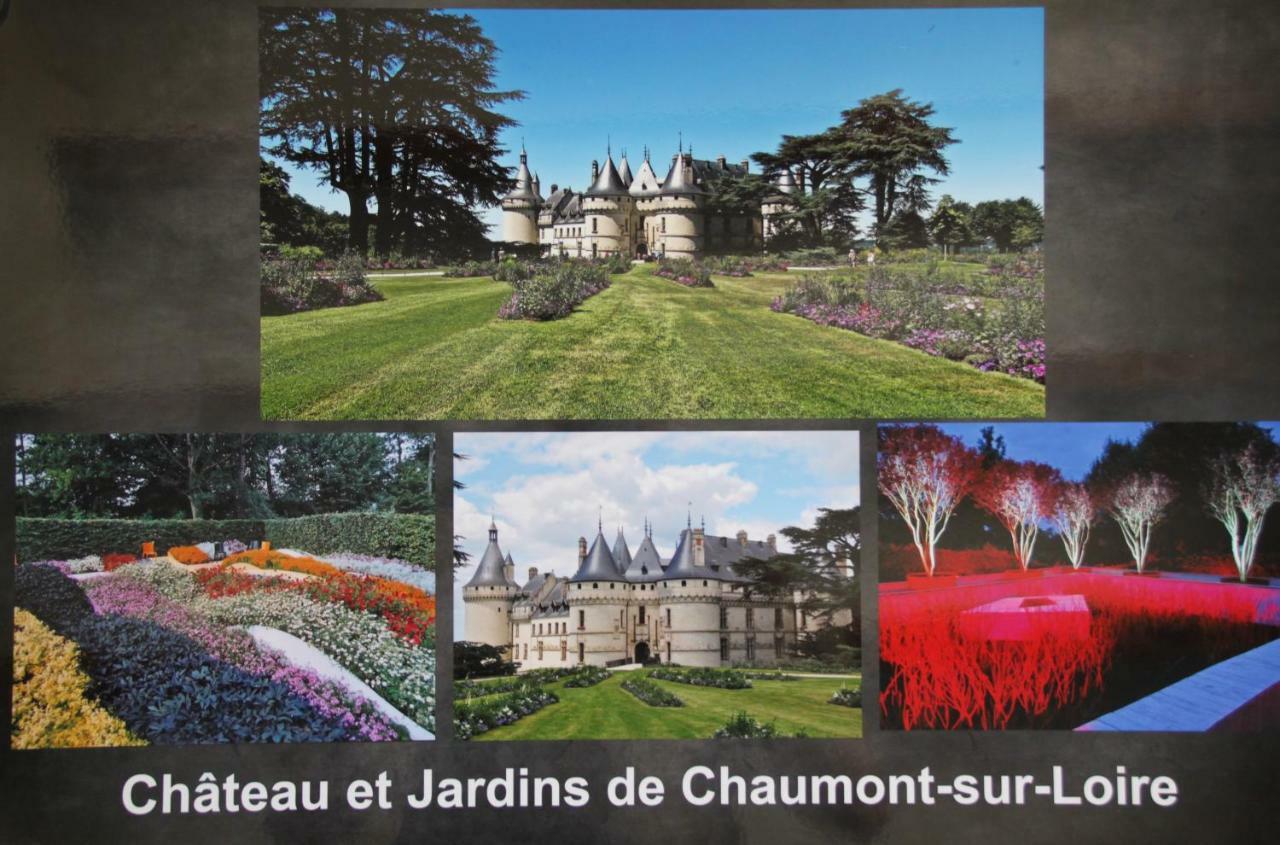 Apartmán Sur Les Toits D'Amboise Exteriér fotografie